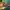 Virtual Eye of Ra Roulette 2000x