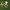 Blackjack Cashback