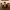 Gunslinger: Reloaded