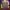 Bonanza Link: Midnight Train
