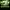 777 - Emerald Fortune