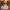El Paso Gunfight xNudge