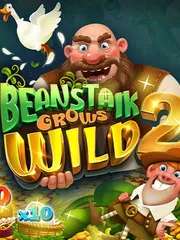 Beanstalk Grows Wild 2