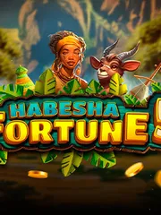 Habesha Fortune 5