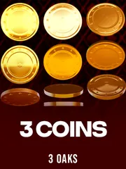 3 Coins