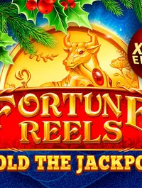 Fortune Reels Xmas