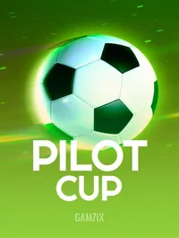 Pilot Cup