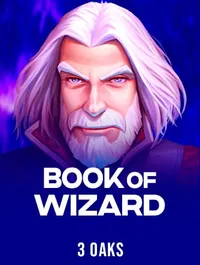 Book Of Wizard