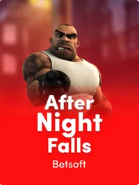 After Night Falls