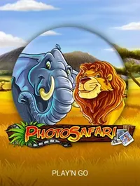 Photo Safari