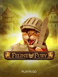 Feline Fury