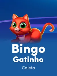 Bingo Gatinho
