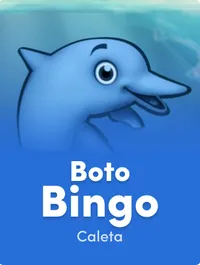 Boto Bingo